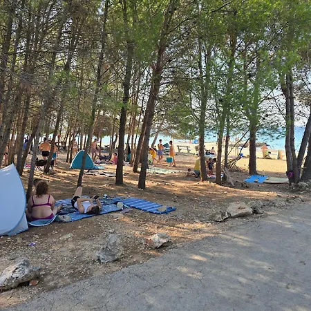 Lora Apartamento Vir