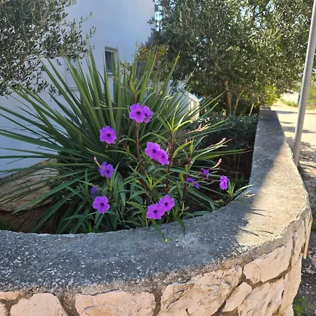 Apartman Lora